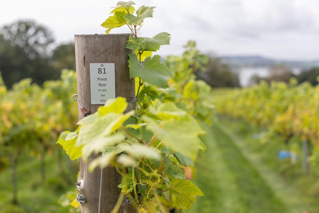 Lympstone Manor Hotel Restaurant & Vineyard - Relais & Chateaux Exmouth Eksteriør billede