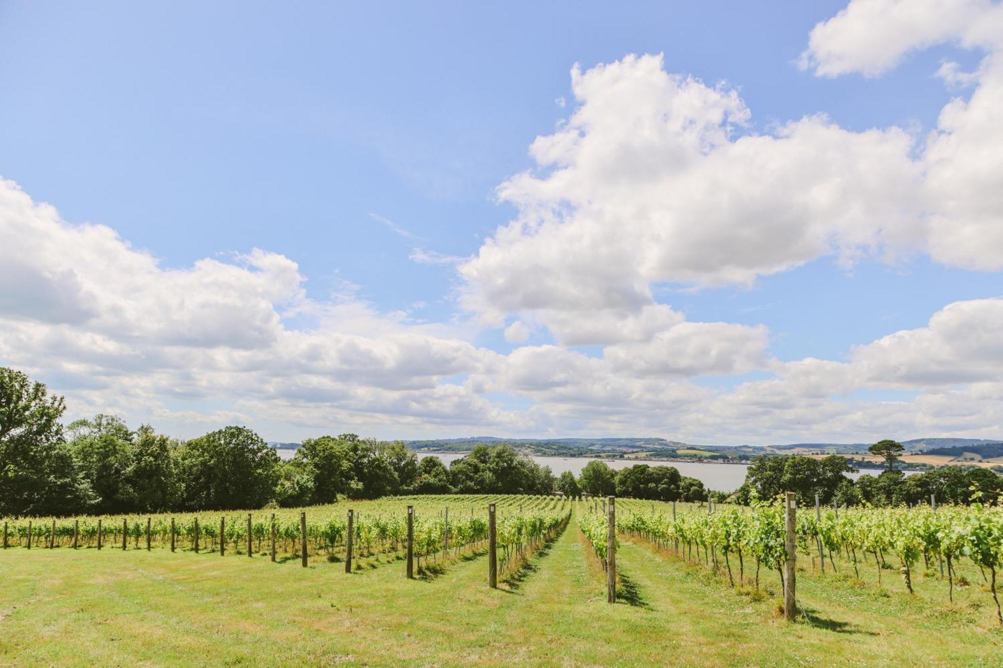 Lympstone Manor Hotel Restaurant & Vineyard - Relais & Chateaux Exmouth Eksteriør billede