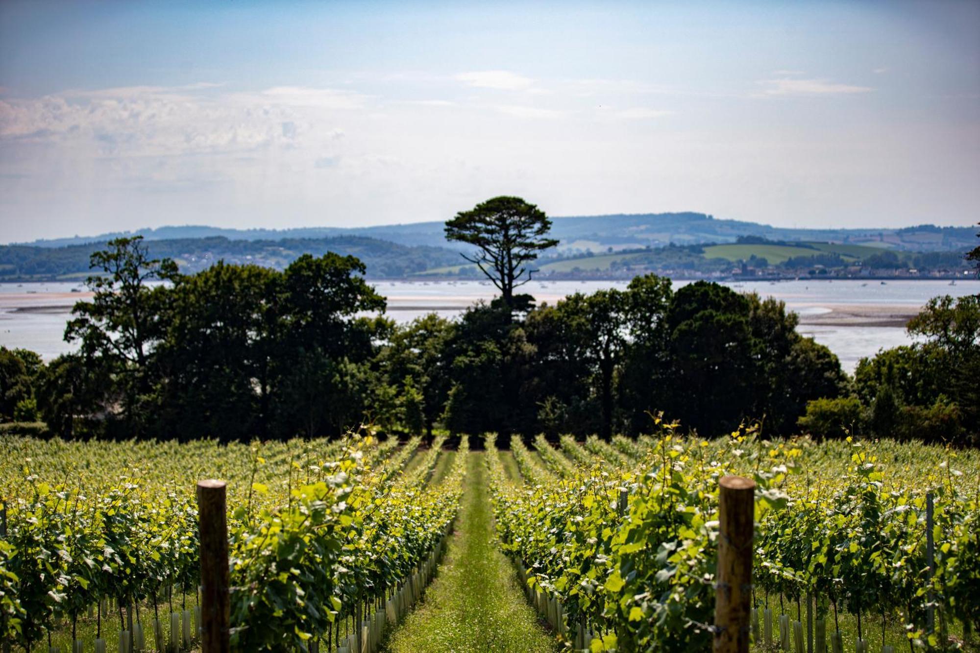 Lympstone Manor Hotel Restaurant & Vineyard - Relais & Chateaux Exmouth Eksteriør billede
