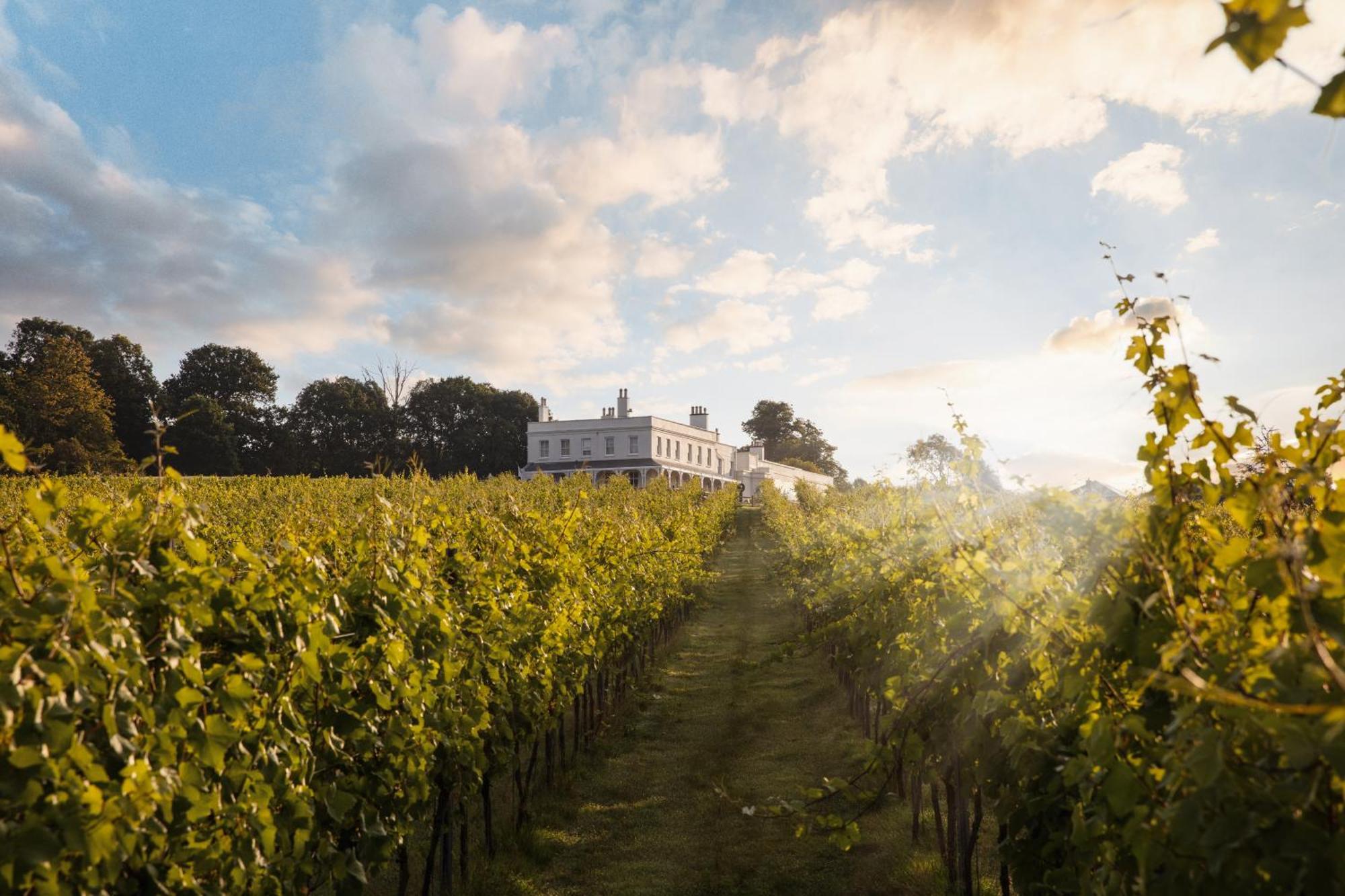 Lympstone Manor Hotel Restaurant & Vineyard - Relais & Chateaux Exmouth Eksteriør billede